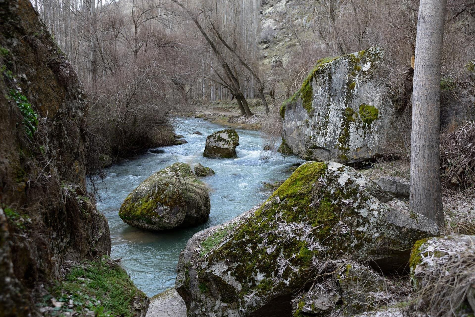 Yeşil Tur Görsel 2